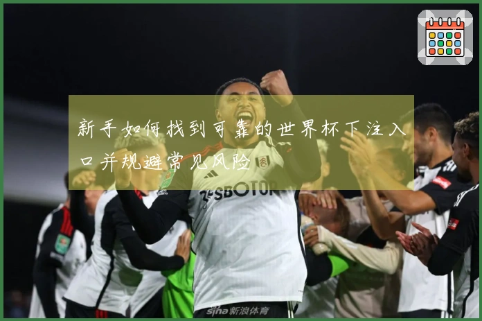 新手如何找到可靠的世界杯下注入口并规避常见风险