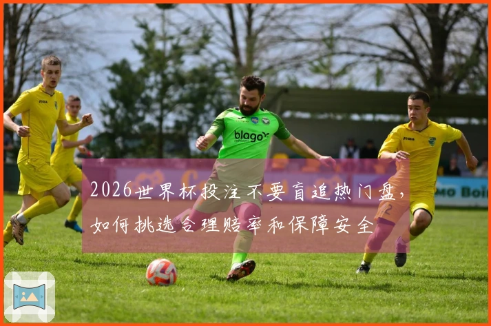 2026世界杯投注不要盲追热门盘，如何挑选合理赔率和保障安全