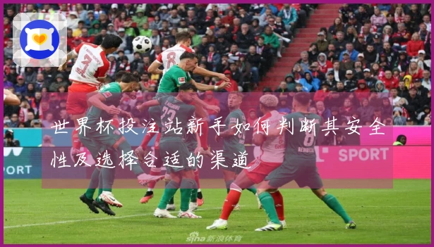 世界杯投注站新手如何判断其安全性及选择合适的渠道