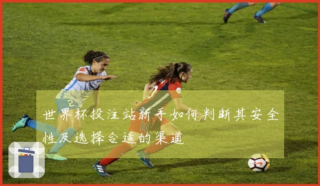 世界杯投注站新手如何判断其安全性及选择合适的渠道
